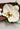 a white flower sitting atop a piece of bark