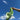 limited edition green silk scarf against the sky