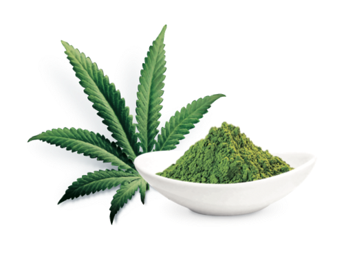 cannabis-green-tea