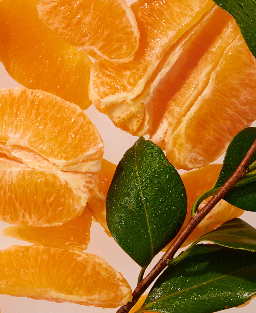 DRY DREAM
CITRUS & VETIVER
