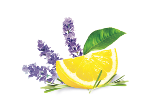 lavender-lemon