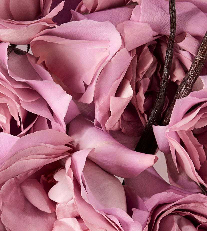 THIS LOVE
ROSE & VANILLA
