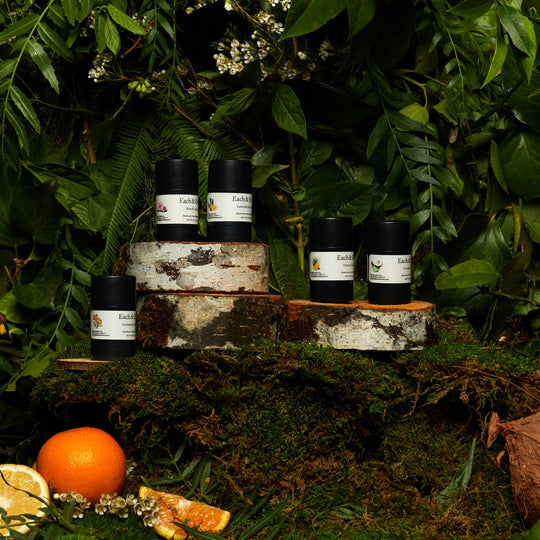 product five mini deodorants surrounded by plants